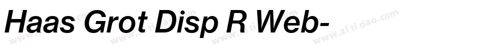 Haas Grot Disp R Web字体转换
